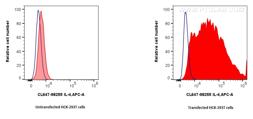 Flow cytometry (FC) experiment of Transfected HEK-293T cells using CoraLite® Plus 647 Anti-Rat IL-4 Rabbit Recombinan (CL647-98255)