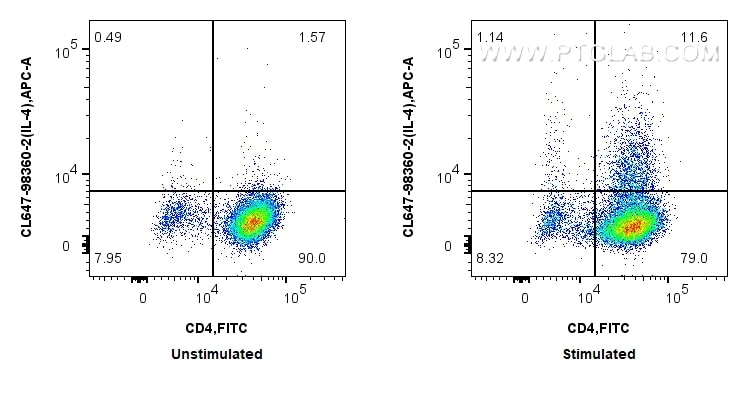1x10^6 untreated or PMA, Ionomycin and Brefeldin A treated C57BL/6 Th2-polarized splenocytes were intracellularly stained with FITC Plus Anti-Mouse CD4 and 0.25 ug CoraLite® Plus 647 Anti-Mouse IL-4 Rabbit RecAb (CL647-98360-2, Clone: 242736G8). Cells were fixed with 4% PFA and permeabilized with Flow Cytometry Perm Buffer. Flow cytometry (FC) experiment of C57BL/6 Th2-polarized splenocytes using CoraLite® Plus 647 Anti-Mouse IL-4 Rabbit Recombin (CL647-98360-2)