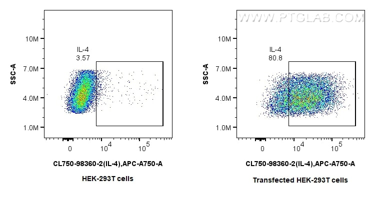 1x10^6 HEK-293T cells or IL-4 transfected HEK-293T cells were intracellularly stained with 0.25 ug CoraLite® Plus 750 Anti-Mouse IL-4 Rabbit RecAb (CL750-98360-2, Clone: 242736G8). Cells were fixed and permeabilized with Intracellular Flow Cytometry Fixation & Permeabilization Buffer Kit (PF00019). Flow cytometry (FC) experiment of Transfected HEK-293T cells using CoraLite® Plus 750 Anti-Mouse IL-4 Rabbit Recombin (CL750-98360-2)