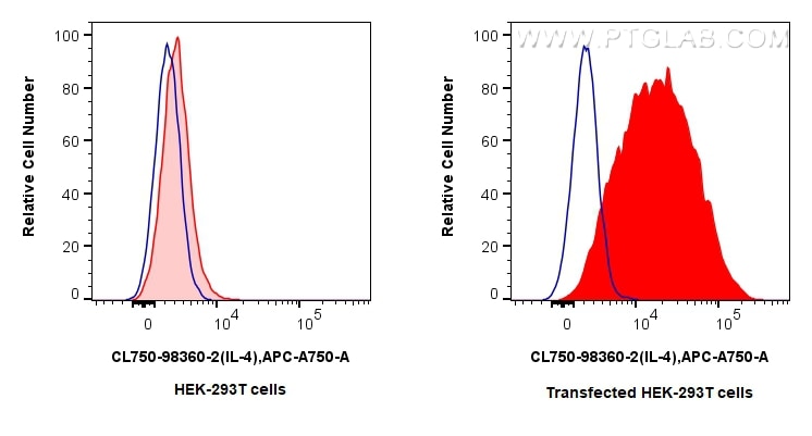 1x10^6 HEK-293T cells or IL-4 transfected HEK-293T cells were intracellularly stained with 0.25 ug CoraLite® Plus 750 Anti-Mouse IL-4 Rabbit RecAb (CL750-98360-2, Clone:242736G8) (red), or CoraLite® Plus 750 Rabbit IgG Isotype Control Recombinant Antibody (CL750-98136, Clone: 240953C9) (blue). Cells were fixed and permeabilized with Intracellular Flow Cytometry Fixation & Permeabilization Buffer Kit (PF00019). Flow cytometry (FC) experiment of Transfected HEK-293T cells using CoraLite® Plus 750 Anti-Mouse IL-4 Rabbit Recombin (CL750-98360-2)
