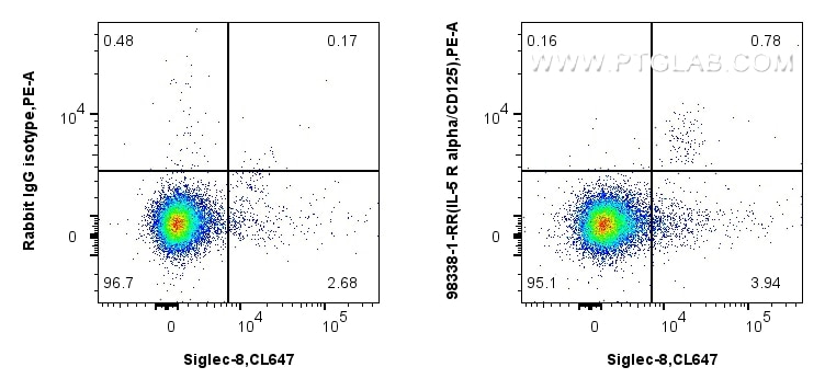 1x10^6 human peripheral blood leukocytes were surface stained with 0.25 ug Anti-Human IL-5RA/CD125 Rabbit RecAb (98338-1-RR, Clone:242234C8) or 0.25 ug Rabbit IgG Isotype Control RecAb (98136-1-RR, Clone: 240953C9), and PE-Conjugated Goat Anti-Rabbit IgG(H+L). Cells were then stained with CoraLite® Plus 647 Anti-Human Siglec-8 Rabbit Recombinant Antibody (CL647-98177, Clone: 241275A5). CD11b+ cells were pre-gated for analysis. Cells were not fixed. This data was developed using the same antibody clone with 98338-1-PBS in a different storage buffer formulation. Flow cytometry (FC) experiment of human peripheral blood leukocyte using Anti-Human IL-5RA/CD125 Rabbit Recombinant Antibod (98338-1-RR)