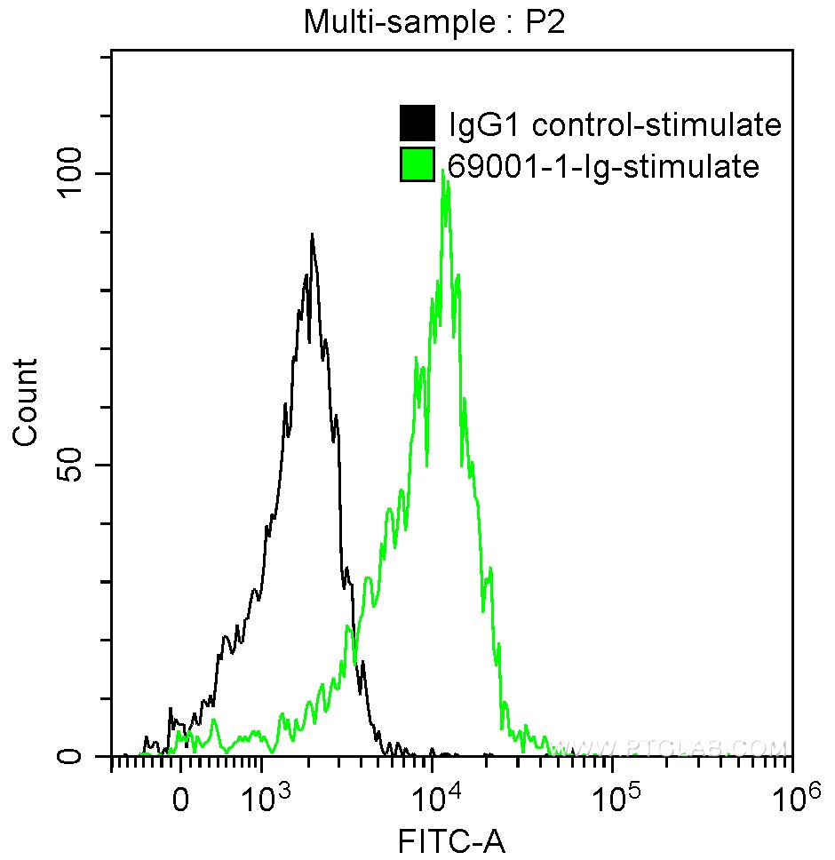 FC experiment of HT-1080 using 69001-1-Ig