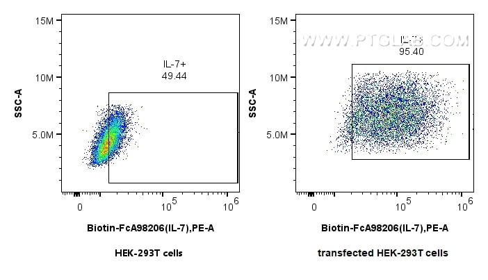 1x10^6 untransfected (left) or IL-7-transfected HEK-293T cells (right) were intracellularly stained with 0.25 ug Biotin Anti-Human IL-7 Rabbit RecAb (Biotin-FcA98206, Clone: 241000F3) or FcZero-rAb™ Biotin Rabbit IgG Isotype Control Recombinant Antibody (Biotin-FcA98136, Clone: 240953C9), and PE Streptavidin (Cat.No. PF00021). Cells were fixed with 4% PFA and permeabilized with Flow Cytometry Perm Buffer (PF00011-C). Flow cytometry (FC) experiment of Transfected HEK-293T cells using FcZero-rAb™ Biotin Anti-Human IL-7 Rabbit Recombin (Biotin-FcA98206)