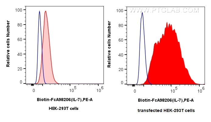 1x10^6 untransfected (left) or IL-7-transfected HEK-293T cells (right) were intracellularly stained with 0.25 ug Biotin Anti-Human IL-7 Rabbit RecAb (Biotin-FcA98206, Clone: 241000F3) (red) or FcZero-rAb™ Biotin Rabbit IgG Isotype Control Recombinant Antibody (Biotin-FcA98136, Clone: 240953C9) (blue), and PE Streptavidin (Cat.No. PF00021). Cells were fixed with 4% PFA and permeabilized with Flow Cytometry Perm Buffer (PF00011-C). Flow cytometry (FC) experiment of Transfected HEK-293T cells using FcZero-rAb™ Biotin Anti-Human IL-7 Rabbit Recombin (Biotin-FcA98206)