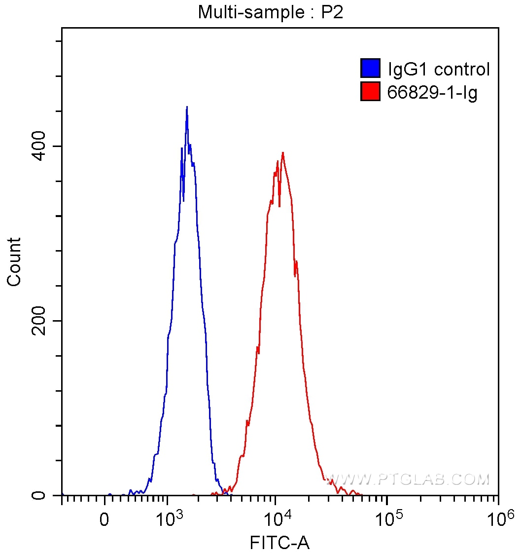 Flow cytometry (FC) experiment of K-562 cells using IL-12RB1 Monoclonal antibody (66829-1-Ig)