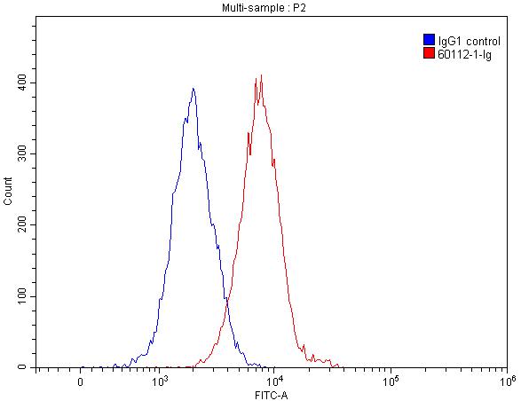 FC experiment of HEK-293 using 60112-1-Ig