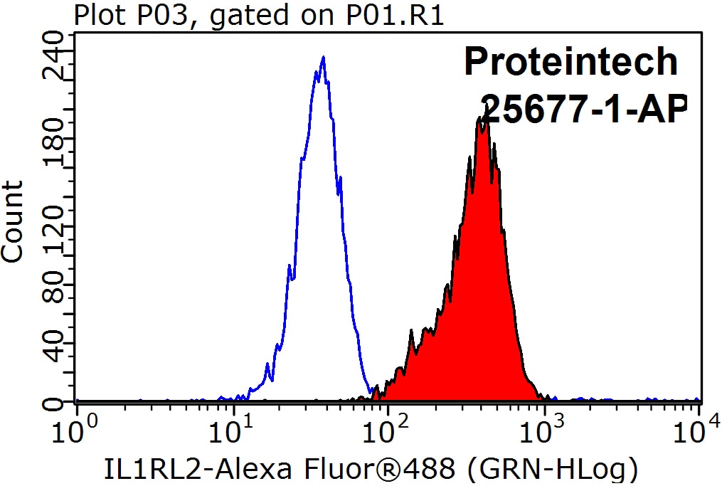 Flow cytometry (FC) experiment of K-562 cells using IL-1RL2 Polyclonal antibody (25677-1-AP)