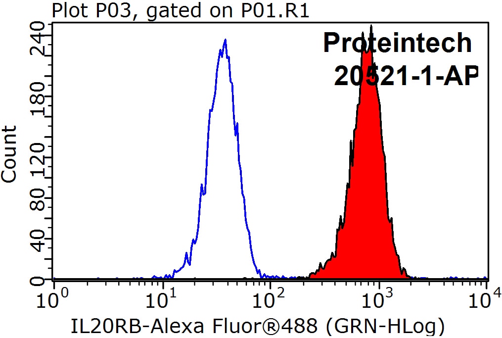 Flow cytometry (FC) experiment of K-562 cells using IL-20RB Polyclonal antibody (20521-1-AP)
