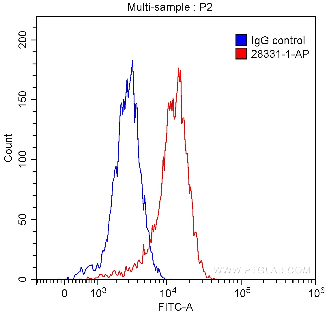 Flow cytometry (FC) experiment of Daudi cells using IL-4R Polyclonal antibody (28331-1-AP)