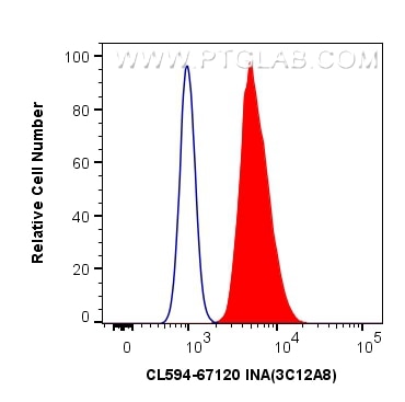 Flow cytometry (FC) experiment of SH-SY5Y cells using CoraLite®594-conjugated INA Monoclonal antibody (CL594-67120)