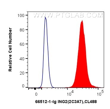 Flow cytometry (FC) experiment of HepG2 cells using ING2 Monoclonal antibody (66512-1-Ig)