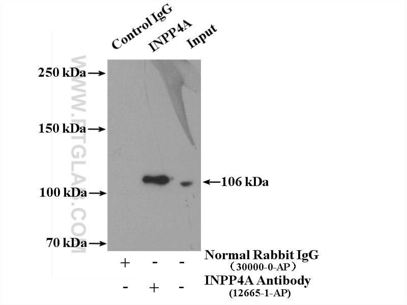 INPP4A