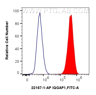 1x10^6 HeLa cells were intracellularly stained with 0.25 ug IQGAP1 Polyclonal antibody (22167-1-AP) and CoraLite®488-Conjugated Goat Anti-Rabbit IgG(H+L) (SA00013-2)(red),  or 0.25 ug Isotype Control (blue). Cells were fixed and permeabilized with Transcription Factor Staining Buffer Kit (PF00011). Flow cytometry (FC) experiment of HeLa cells using IQGAP1 Polyclonal antibody (22167-1-AP)