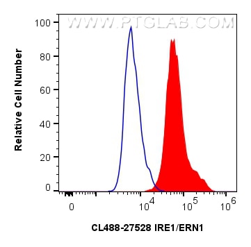 Flow cytometry (FC) experiment of A549 cells using CoraLite® Plus 488-conjugated IRE1; ERN1 Polyclona (CL488-27528)