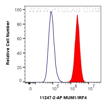Flow cytometry (FC) experiment of Ramos cells using human MUM1/IRF4 Polyclonal antibody (11247-2-AP)