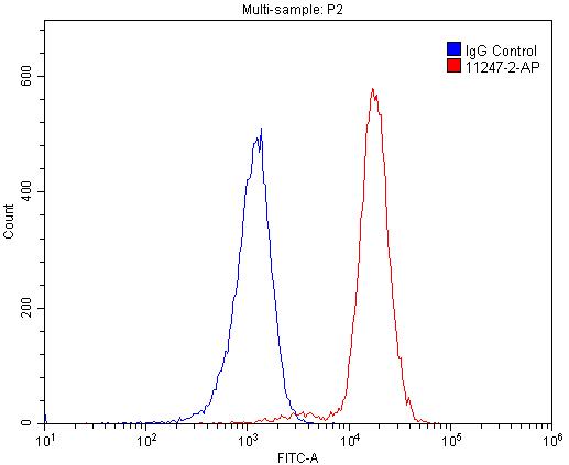 FC experiment of Raji using 11247-2-AP