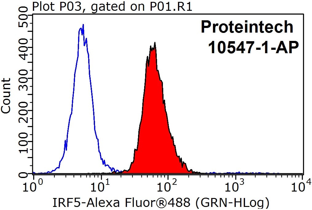 Flow cytometry (FC) experiment of HepG2 cells using IRF5 Polyclonal antibody (10547-1-AP)