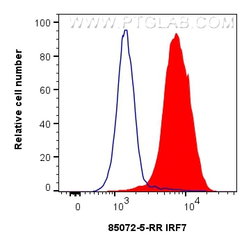Flow cytometry (FC) experiment of Jurkat cells using IRF7 Recombinant antibody (85072-5-RR)