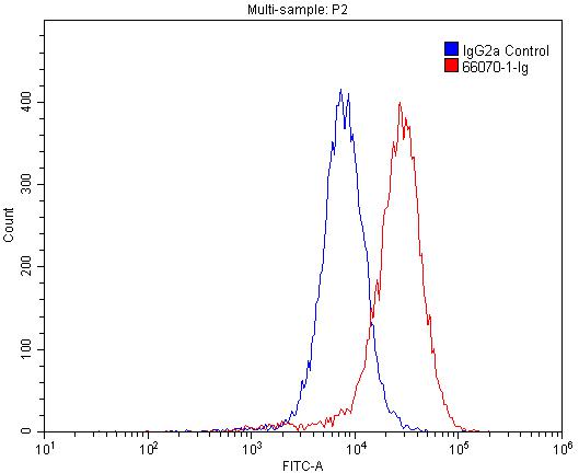 FC experiment of A549 using 66070-1-Ig