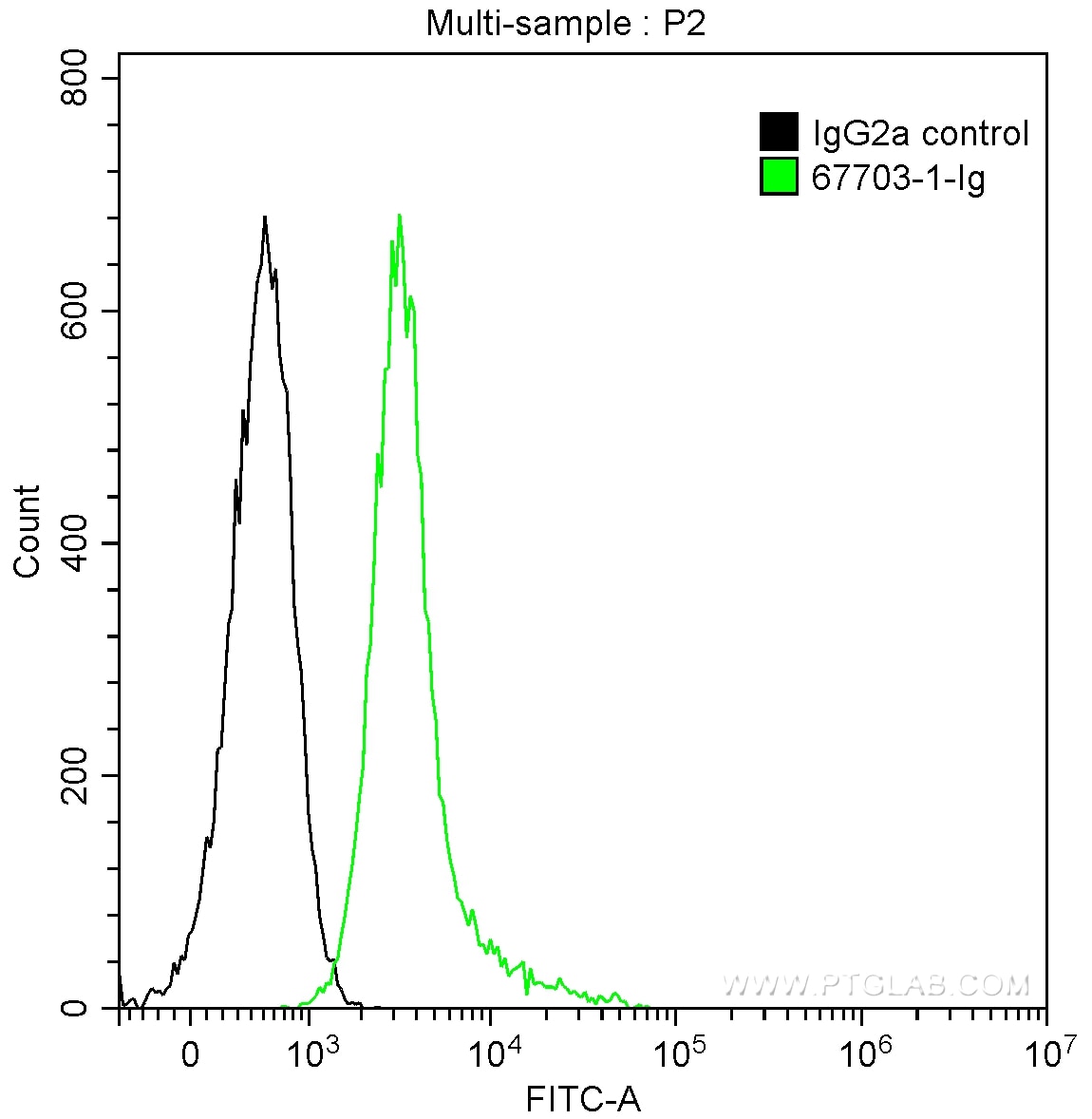 Flow cytometry (FC) experiment of Jurkat cells using ITK Monoclonal antibody (67703-1-Ig)
