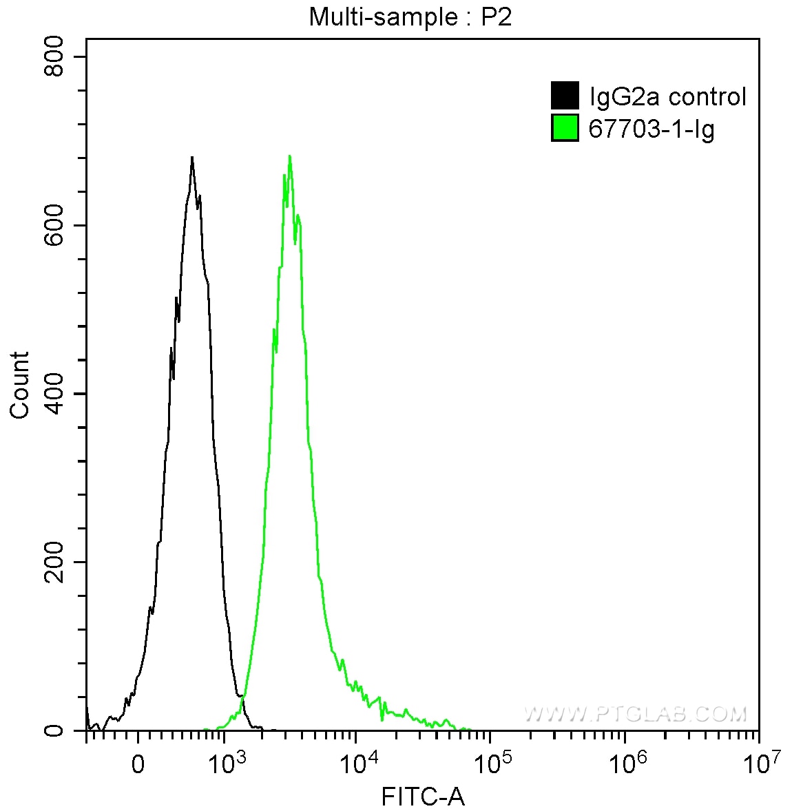 FC experiment of Jurkat using 67703-1-Ig