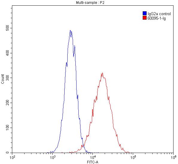 Flow cytometry (FC) experiment of HepG2 cells using ITM2C Monoclonal antibody (60095-1-Ig)