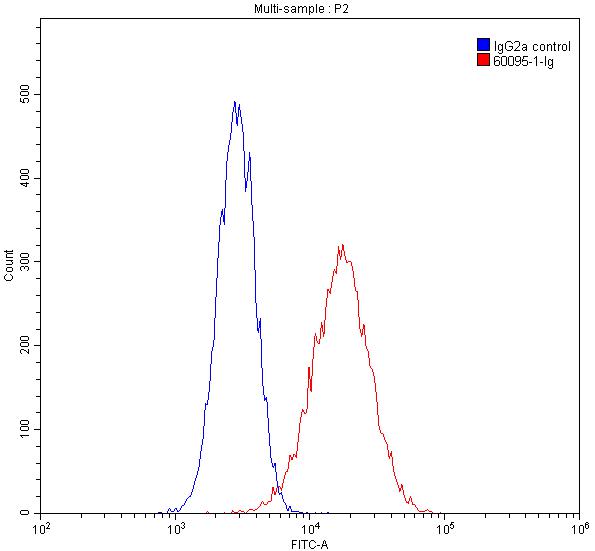 FC experiment of HepG2 using 60095-1-Ig