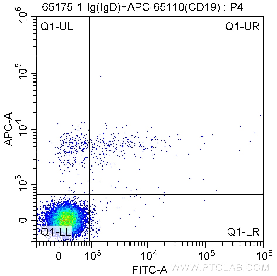 FC experiment of human peripheral blood lymphocytes using 65175-1-Ig