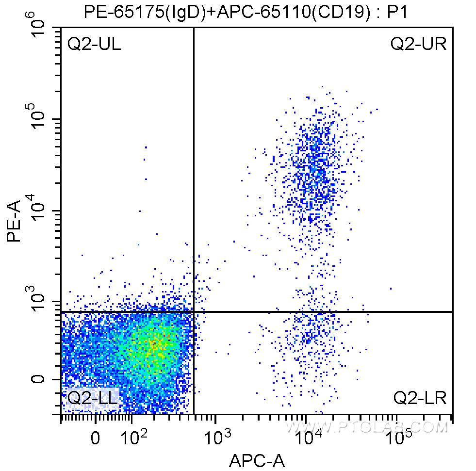 Flow cytometry (FC) experiment of human peripheral blood lymphocytes using PE Anti-Human IgD (IA6-2) (PE-65175)