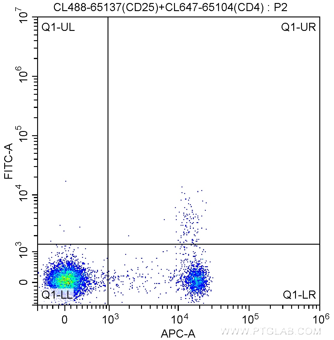 FC experiment of mouse splenocytes using CL488-65212