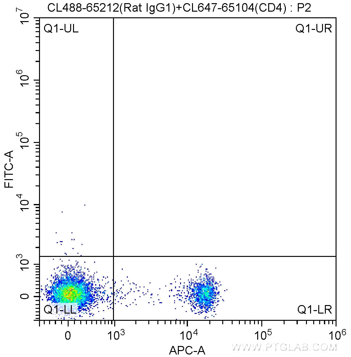 FC experiment of mouse splenocytes using CL488-65212