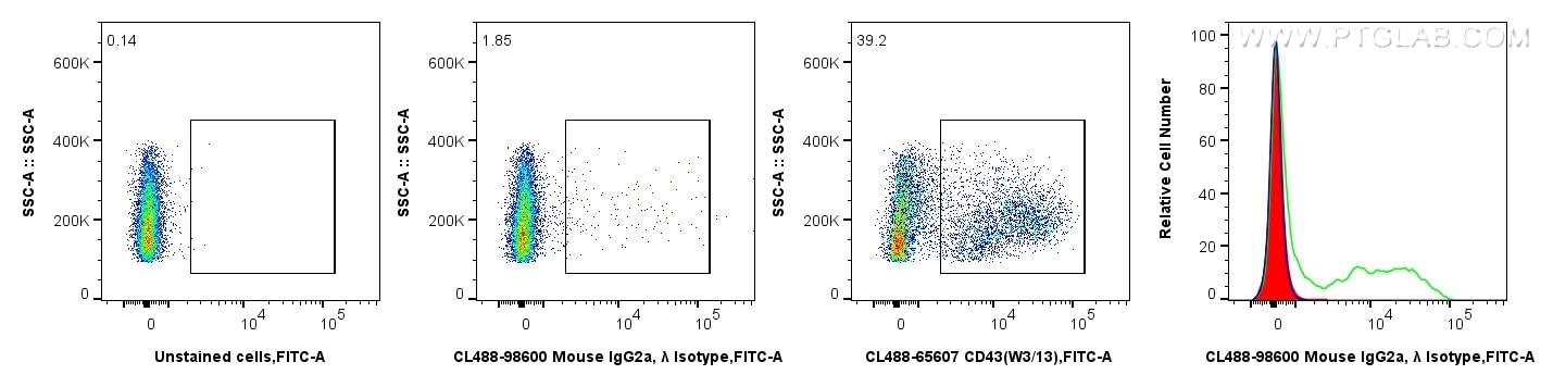 Flow cytometry (FC) experiment of rat splenocytes cells using CoraLite® Plus 488 Mouse IgG2a, λ Isotype Control  (CL488-98600)