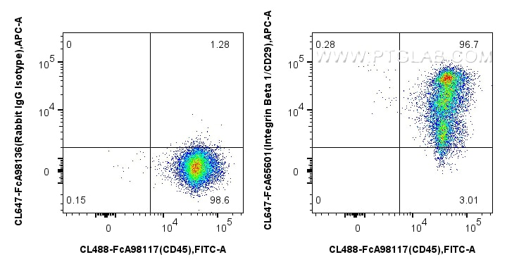 FC experiment of human PBMCs using CL647-FcA65601 Flow cytometry (FC) experiment of human PBMCs using FcZero-rAb® CoraLite® Plus 647 Anti-Human Integrin (CL647-FcA65601)