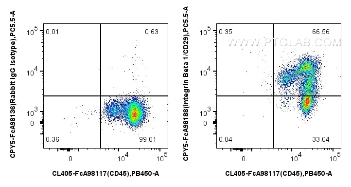 1x10^6 human PBMCs were surface stained with FcZero-rAb™ CoraLite® Plus 405 Anti-Human CD45, and 5 ul PerCP-Cyanine5.5 Anti-Human Integrin Beta 1/CD29 Rabbit RecAb (CPY5-FcA98188, Clone: 241685C10) or FcZero-rAb™ PerCP-Cyanine5.5 Rabbit IgG Isotype Control Recombinant Antibody (CPY5-FcA98136, Clone: 240953C9). Cells were incubated with MonoZero™ Monocytes blocking Reagent (PF00020) prior to staining. Cells were not fixed. Flow cytometry (FC) experiment of human PBMCs using FcZero-rAb™ PerCP-Cyanine5.5 Anti-Human Integrin B (CPY5-FcA98188)