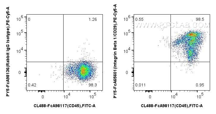 FC experiment of human PBMCs using PY5-FcA65601 Flow cytometry (FC) experiment of human PBMCs using FcZero-rAb® PE-Cyanine5 Anti-Human Integrin Beta 1 (PY5-FcA65601)
