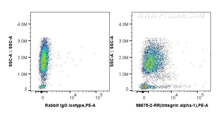 FC experiment of human peripheral blood lymphocytes using 98675-2-RR (same clone as 98675-2-PBS) Flow cytometry (FC) experiment of human peripheral blood lymphocytes using Anti-Human Integrin alpha 1/CD49a Rabbit Recombina (98675-2-RR)