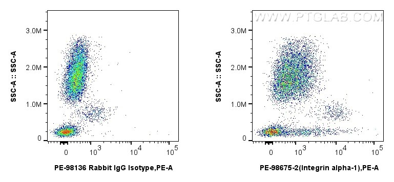 FC experiment of human peripheral blood leukocytes using PE-98675-2 Flow cytometry (FC) experiment of human peripheral blood leukocytes using PE Anti-Human Integrin alpha 1/CD49a Rabbit Recomb (PE-98675-2)