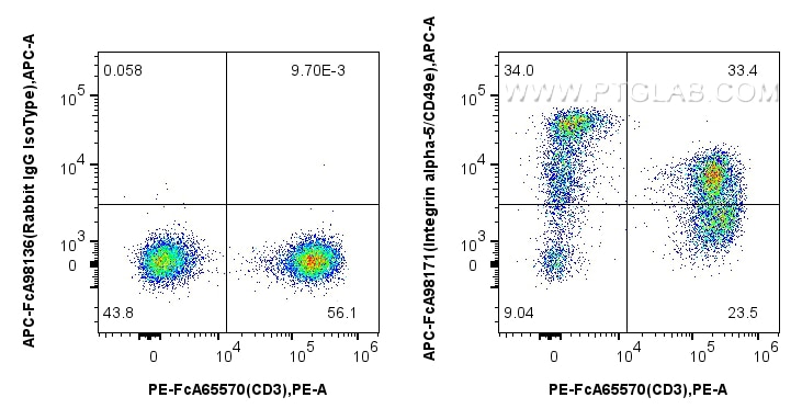 1x10^6 human PBMCs were surface stained with PE Anti-Human CD3 (UCHT1), and 5 ul APC Anti-Human Integrin alpha-5/CD49e Rabbit RecAb (APC-FcA98171, Clone: 241685D4) or APC Rabbit IgG Isotype Control RecAb (APC-FcA98136, Clone: 240953C9). Cells were not fixed. Flow cytometry (FC) experiment of human PBMCs using FcZero-rAb™ APC Anti-Human Integrin alpha-5/CD49e (APC-FcA98171)