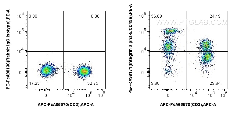 Integrin alpha-5/CD49e