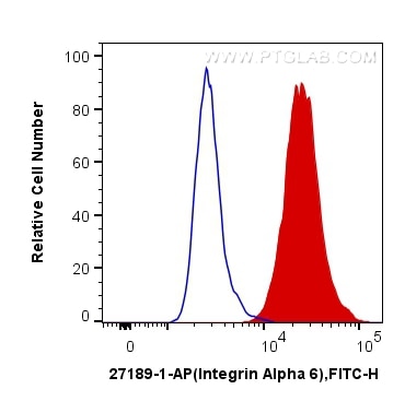 Flow cytometry (FC) experiment of A431 cells using Integrin Alpha 6 Polyclonal antibody (27189-1-AP)