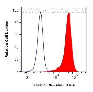 Flow cytometry (FC) experiment of RAW 264.7 cells using JAK3 Recombinant monoclonal antibody (80331-1-RR)