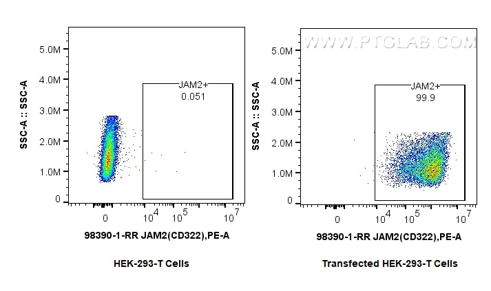 JAM2/CD322