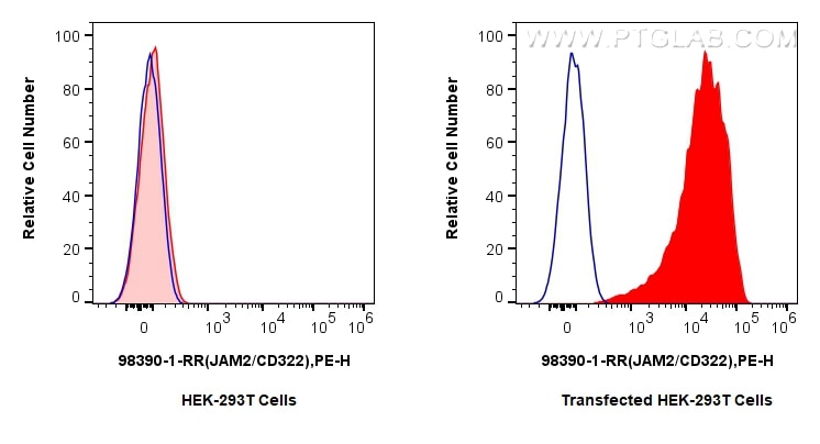 Flow cytometry (FC) experiment of Transfected HEK-293T cells using Anti-Human JAM2/CD322 Rabbit Recombinant Antibody (98390-1-RR)