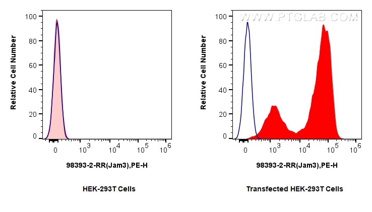 Flow cytometry (FC) experiment of Transfected HEK-293T cells using Anti-Mouse JAM3 Rabbit Recombinant Antibody (98393-2-RR)
