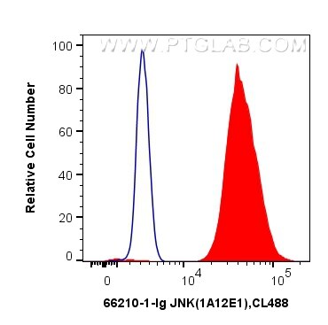 Flow cytometry (FC) experiment of HeLa cells using JNK Monoclonal antibody (66210-1-Ig)