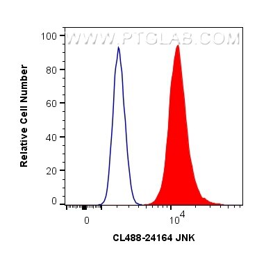 Flow cytometry (FC) experiment of HeLa cells using CoraLite® Plus 488-conjugated JNK Polyclonal antib (CL488-24164)