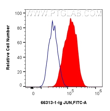 Flow cytometry (FC) experiment of NIH/3T3 cells using JUN Monoclonal antibody (66313-1-Ig)