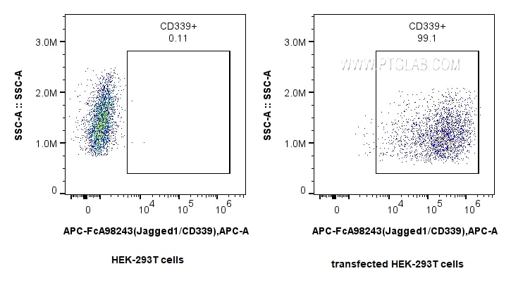 FC experiment of Transfected HEK-293T using APC-FcA98243 Flow cytometry (FC) experiment of Transfected HEK-293T cells using FcZero-rAb® APC Anti-Human Jagged1/CD339 Rabbit Re (APC-FcA98243)