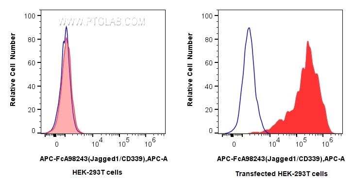 FC experiment of Transfected HEK-293T using APC-FcA98243 Flow cytometry (FC) experiment of Transfected HEK-293T cells using FcZero-rAb® APC Anti-Human Jagged1/CD339 Rabbit Re (APC-FcA98243)