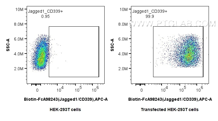 FC experiment of Transfected HEK-293T using Biotin-FcA98243 Flow cytometry (FC) experiment of Transfected HEK-293T cells using FcZero-rAb® Biotin Anti-Human Jagged1/CD339 Rabbit (Biotin-FcA98243)